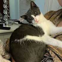 Thumbnail photo of Ellaria Rose #3