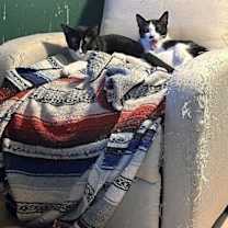 Thumbnail photo of Armenia #4