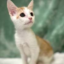 Thumbnail photo of Caleb #4