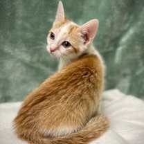 Thumbnail photo of Carter #4