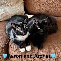 Thumbnail photo of Aaron and Archer #1