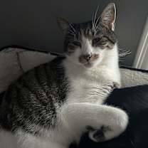 Thumbnail photo of Bozenka #3