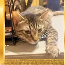 Thumbnail photo of Mona #3