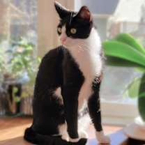 Thumbnail photo of Freedom #1