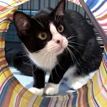 Thumbnail photo of Freedom #3