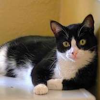 Thumbnail photo of Freedom #4