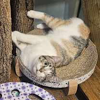 Thumbnail photo of Jacqueline #1