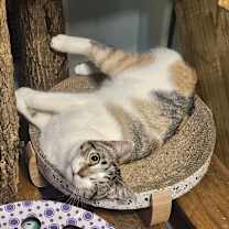 Thumbnail photo of Jacqueline #2