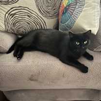 Thumbnail photo of Sabrina #1