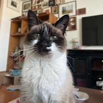 Thumbnail photo of Sabrina #1