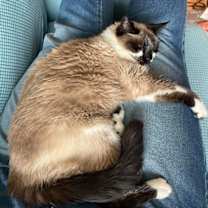 Thumbnail photo of Sabrina #3