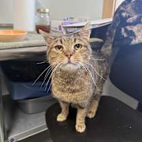 Thumbnail photo of Jerry #2