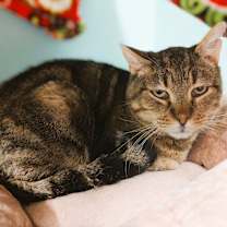 Thumbnail photo of Jerry #3