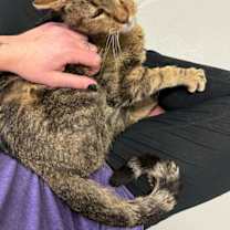 Thumbnail photo of Jerry #4