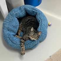 Thumbnail photo of Gia #3