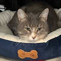 Thumbnail photo of zz 'River' courtesy listing #3