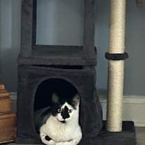 Thumbnail photo of Jaxson De Ville #4