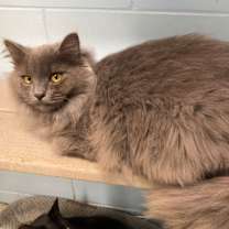 Thumbnail photo of Sara #1