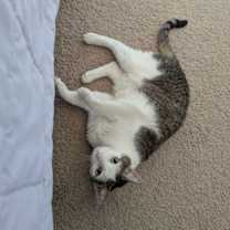 Thumbnail photo of Owen & Asher 9.5.19 #2