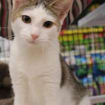 Thumbnail photo of Owen & Asher 9.5.19 #3