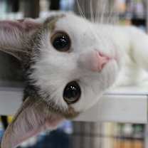 Thumbnail photo of Owen & Asher 9.5.19 #4