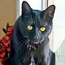 Thumbnail photo of Sadie H. #1