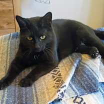 Thumbnail photo of Sadie H. #2