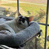 Thumbnail photo of Beetlejuice #4