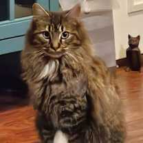 Thumbnail photo of Zaara #2