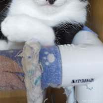 Thumbnail photo of Cindy Clawford #1