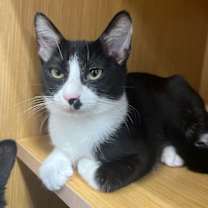 Thumbnail photo of Cindy Clawford #2