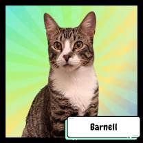 Thumbnail photo of Barney & Angel #2