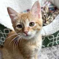 Thumbnail photo of Darwin #2