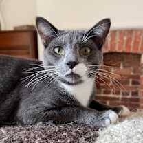 Thumbnail photo of Arthur #1