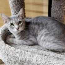 Thumbnail photo of Misto #3