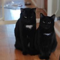 Thumbnail photo of Galileo #3