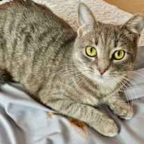 Thumbnail photo of Maye #1