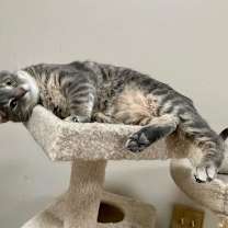 Thumbnail photo of Merry #4