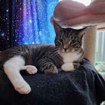Thumbnail photo of Caelan #1