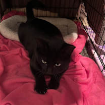 Thumbnail photo of My Maria 1111 #1