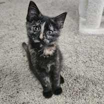 Thumbnail photo of Angela #3