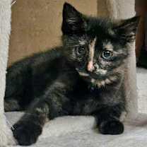 Thumbnail photo of Angela #4