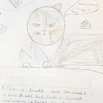 Thumbnail photo of Brooks #3