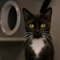 Thumbnail photo of Trinity #2