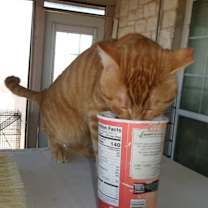 Thumbnail photo of Zirkie #2