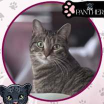 Thumbnail photo of Sonata #1