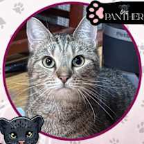 Thumbnail photo of Philharmonic #1