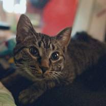 Thumbnail photo of Rita #1