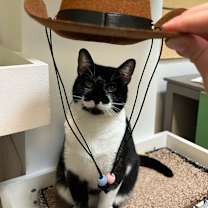 Thumbnail photo of Stardust #2