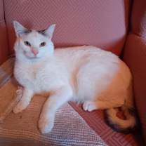 Thumbnail photo of Colby #2